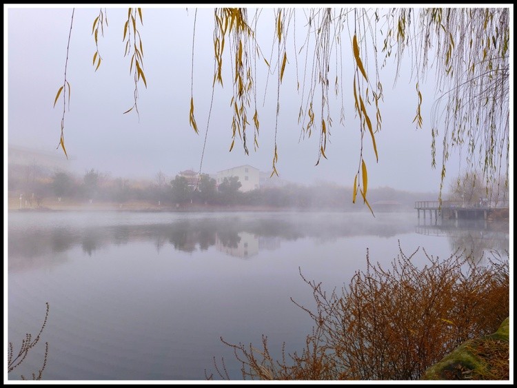 scene in fog