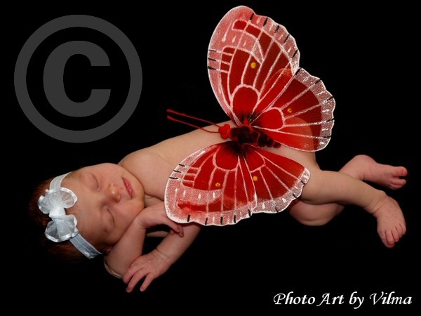 Baby and Butterfly