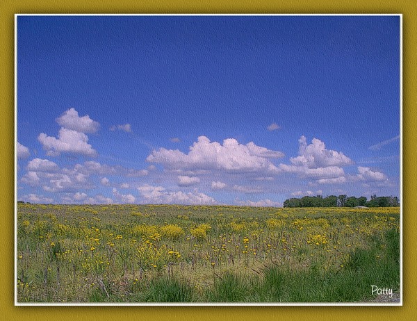 Indiana Landscape...2
