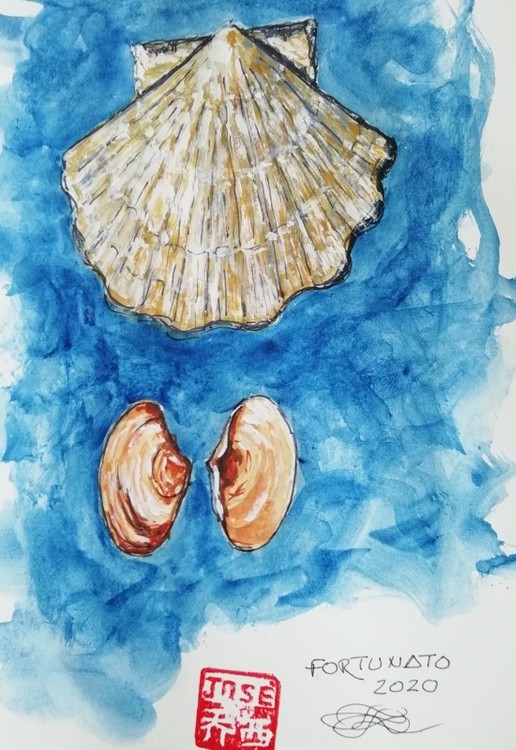Shells