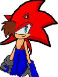 Zander the hedgehog