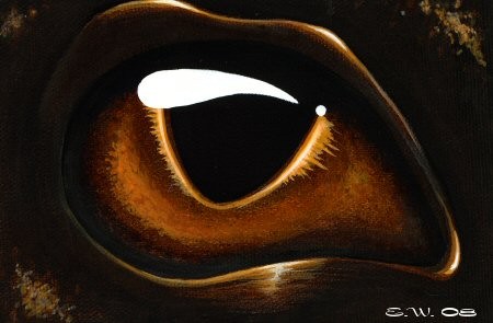 Eye Of Baby Bronze