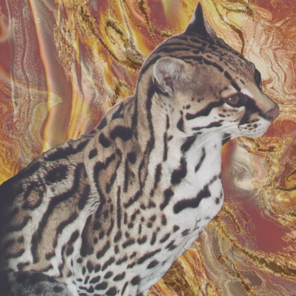 Ocelot 9