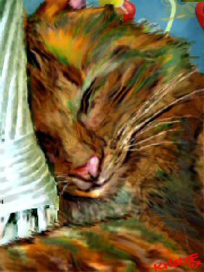 Melangastor Asleep