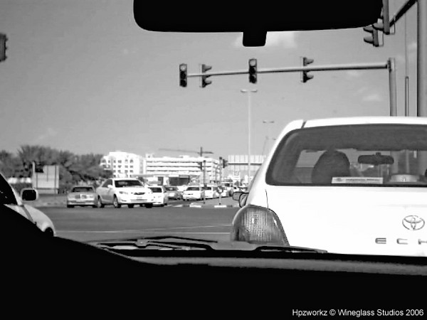 Life from the Back Seat