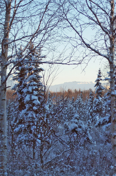 View of a Wonderland 2 