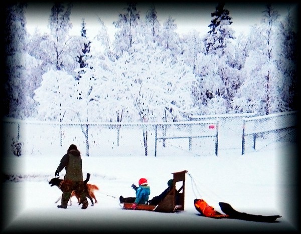 Christmas Day On a Homemade Sleigh! (erm Sled)