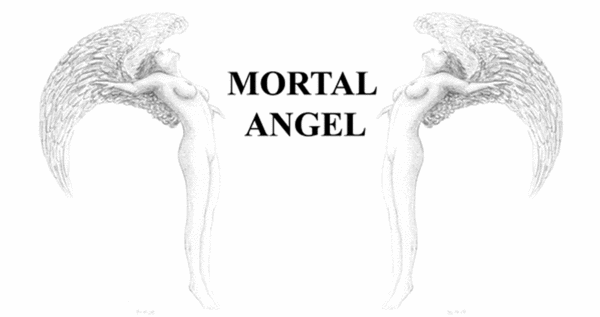 Twin angels (mug design)
