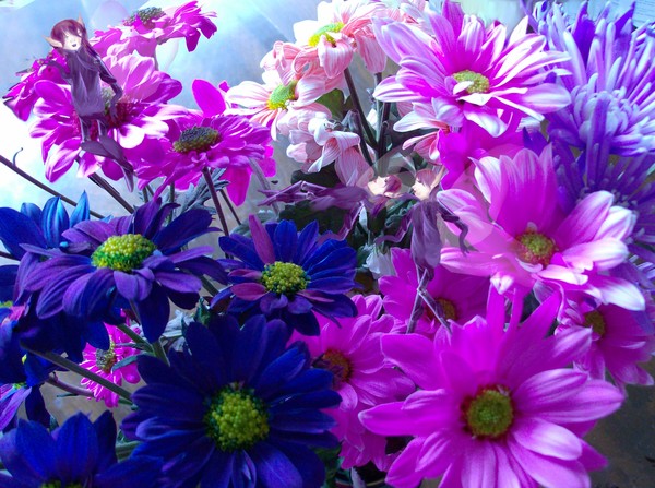 flower fairys