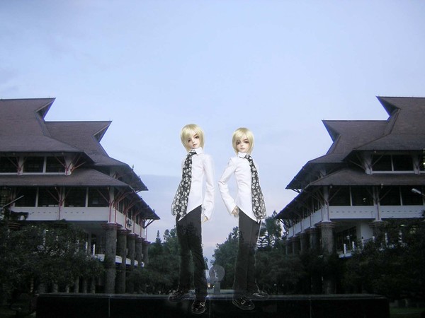 Twin Dolls in College