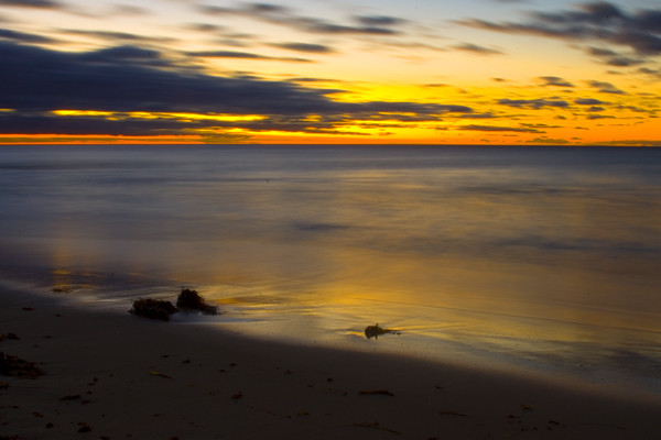 Halls Head Beach