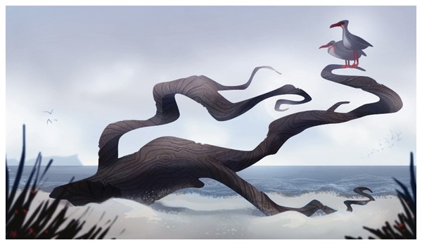 Driftwood