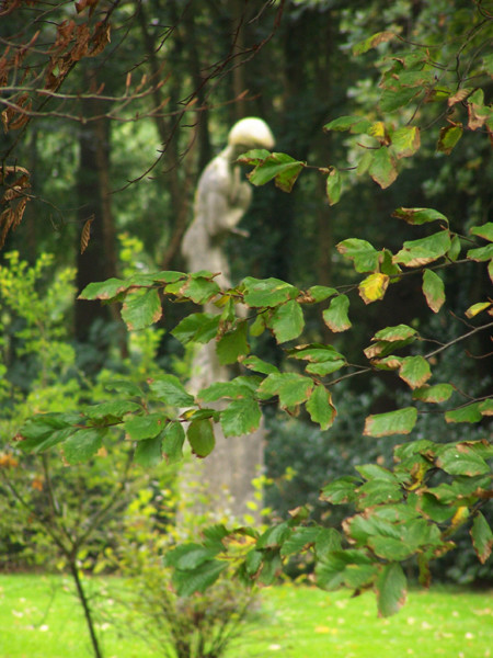 From a Distance