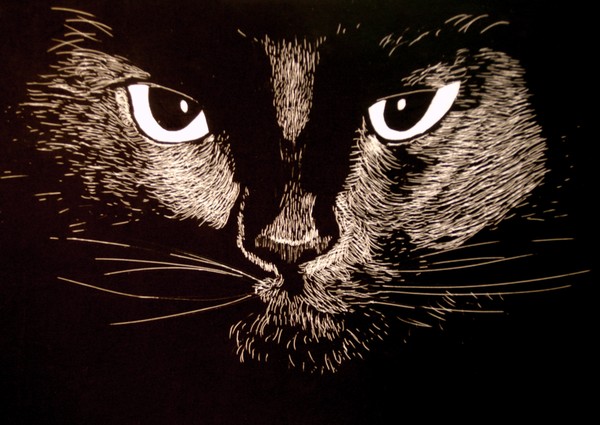 Cat Eyes