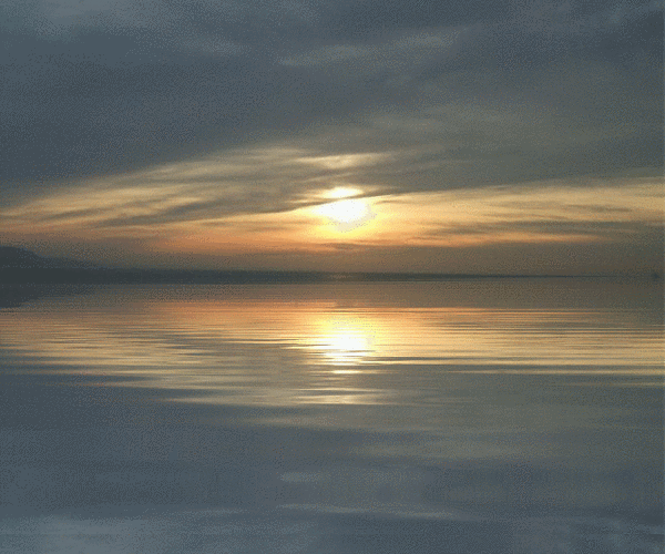 Reflection