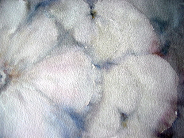 Close-up