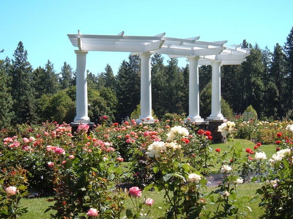 Surrounded by Roses