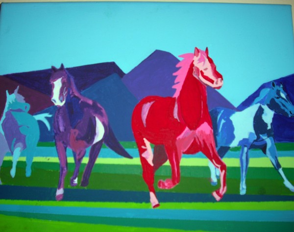 Wild Mustangs