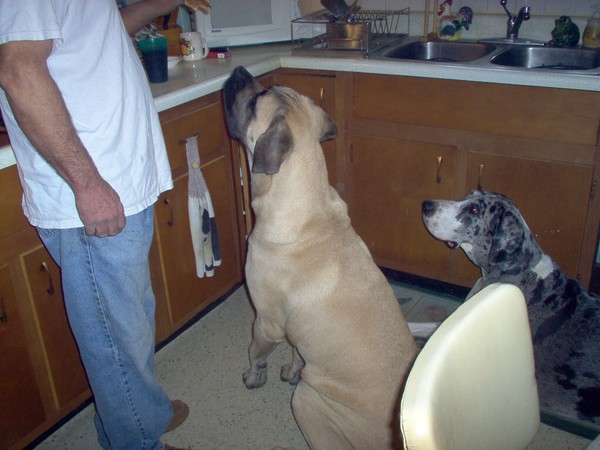 Waiting For Toast