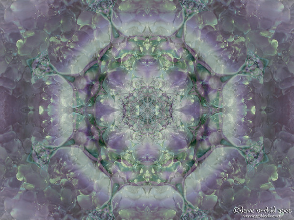 Fractal Ice Mandala