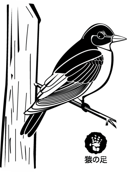 Blue bird
