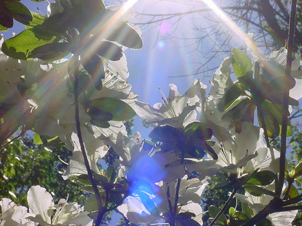 Reach For the Sky