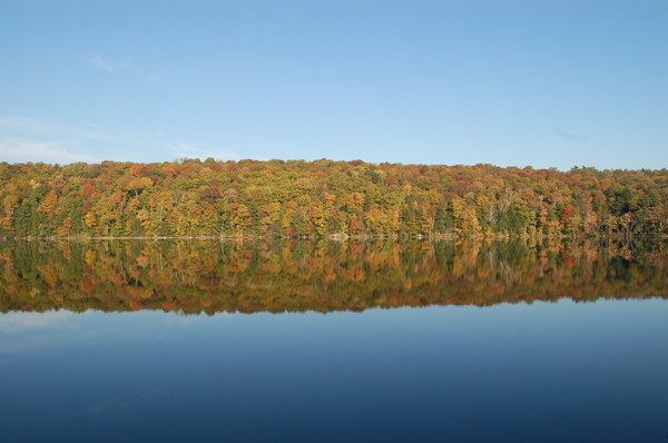 Fall Reflection