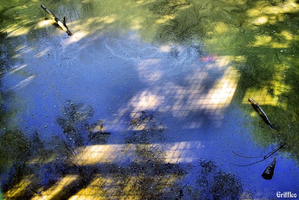 STAGNANT POLLUTION