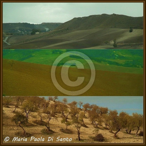 Colours of Sicily