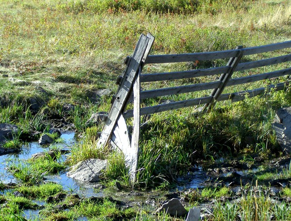 Fence
