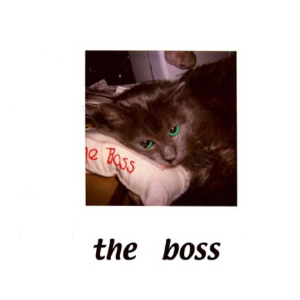 felixtheboss