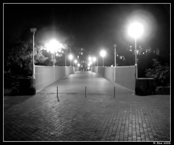 Odessa Brige