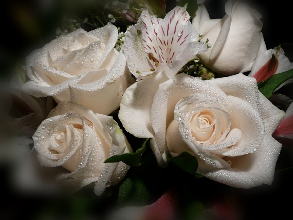 Each Divine Moment