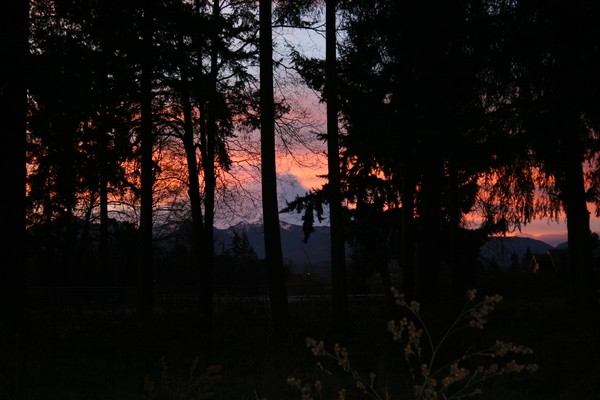 Our View of the Mountain