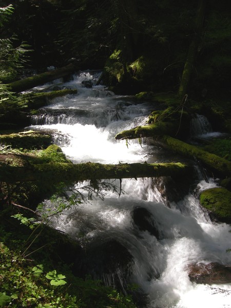 The Falls Before 