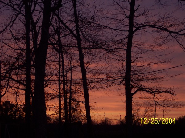 Darkness Descends