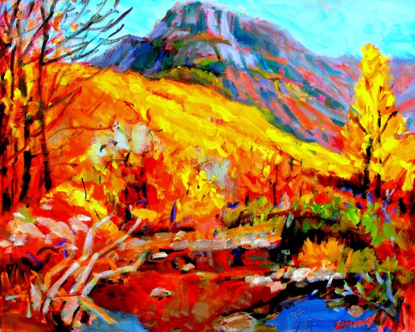 SOUTHWEST LANDSCAPE