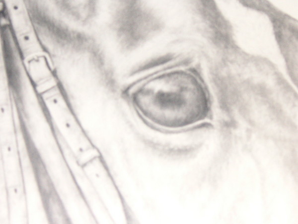 Eye detail
