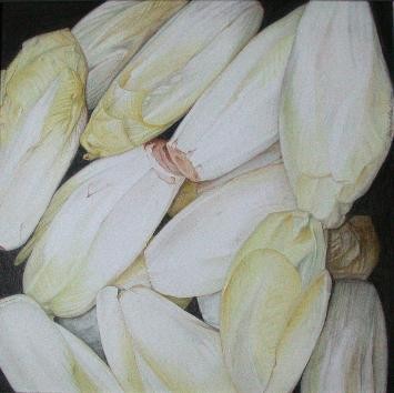 Belgian endive