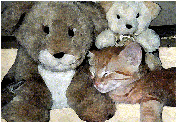 LIONS & TIGERS & BEARS