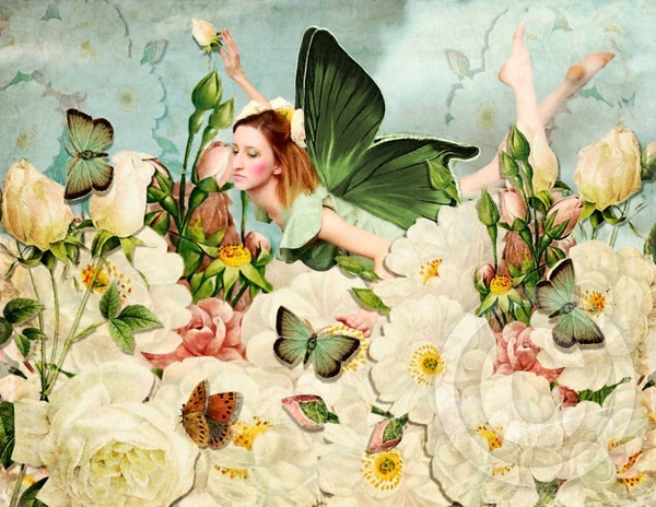Above The Flowers