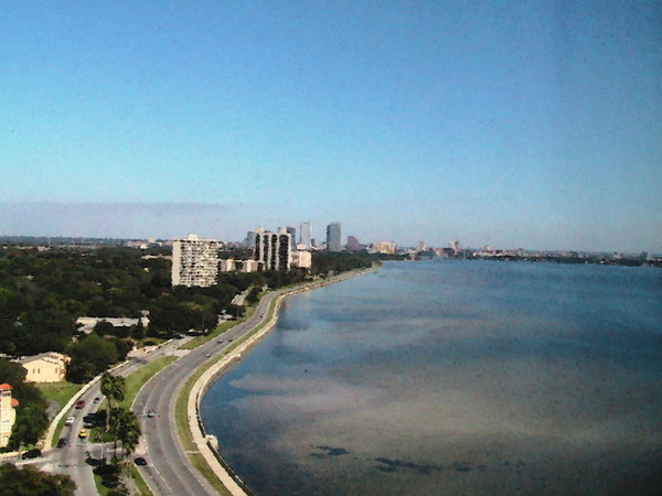 Bayshore Beautiful