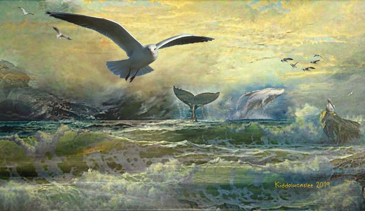 Windcatcher * 2019 Kiddolucaslee 