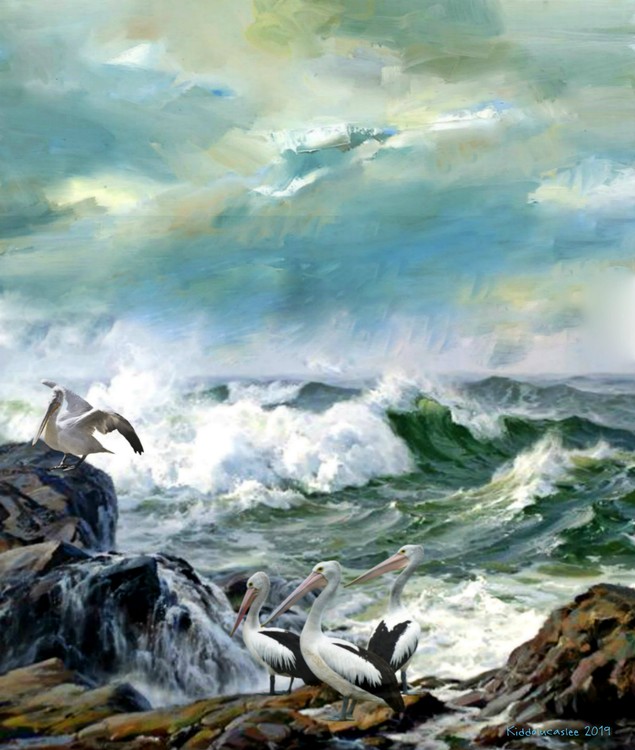 Surviving Another Wave  * 2016 Kiddolucaslee