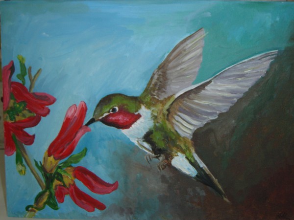 Hummingbird