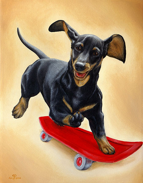 Skateboarding Dachshund