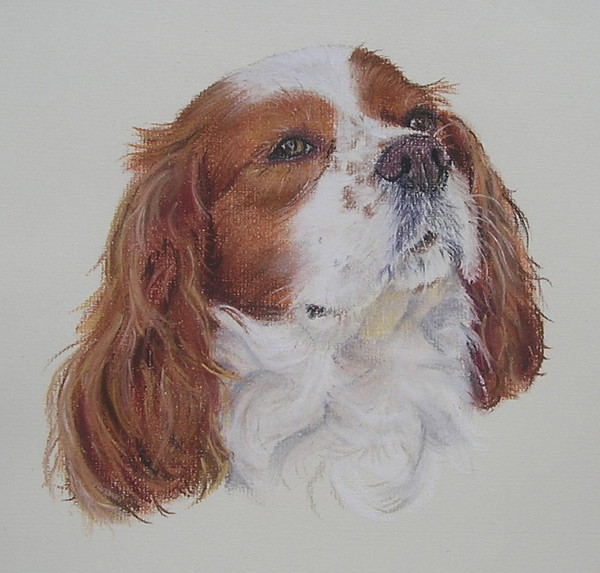 Patsy
