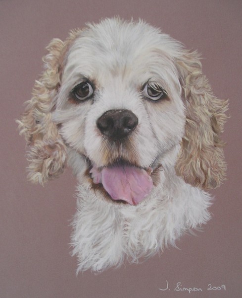 Darcy