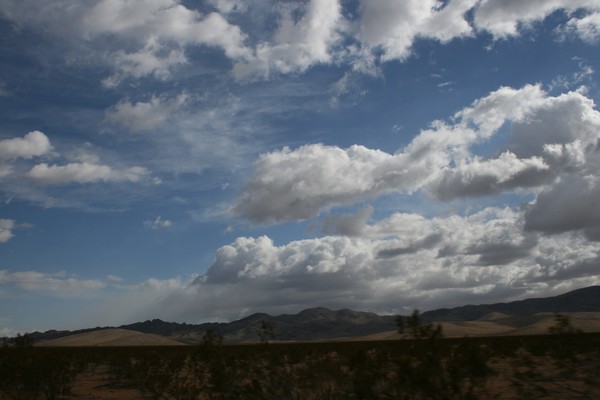 Cowboy Skys #5