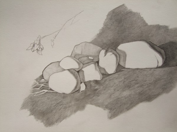 Rock study